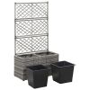 Trellis Raised Bed with 2 Pots 22.8" x 11.8" x 42.1" Poly Rattan Gray